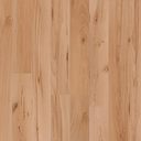 32535 Beech 8,0